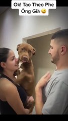 Cuuuuute BETS FUNNY DODS AND CATS VIDEOS | FUNNIEST ANIMALS