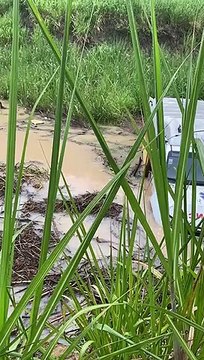 Motorista perde controle e ambulância vai parar em ribanceira