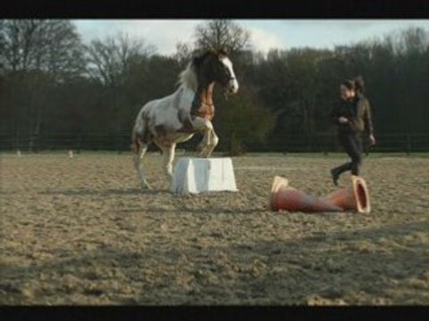 Malcom saut en libérté