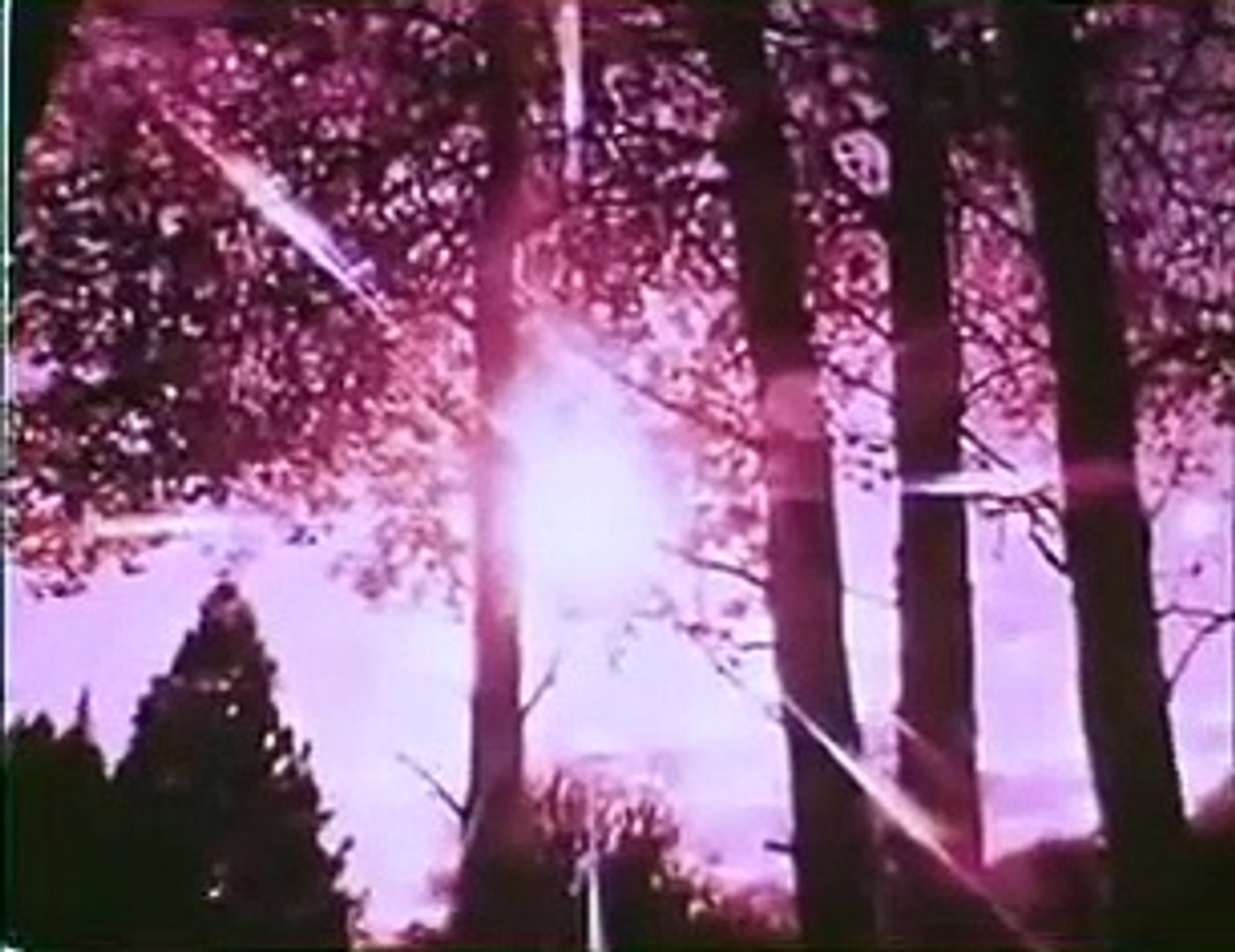 ⁣Scandalous John | movie | 1971 | Official Trailer