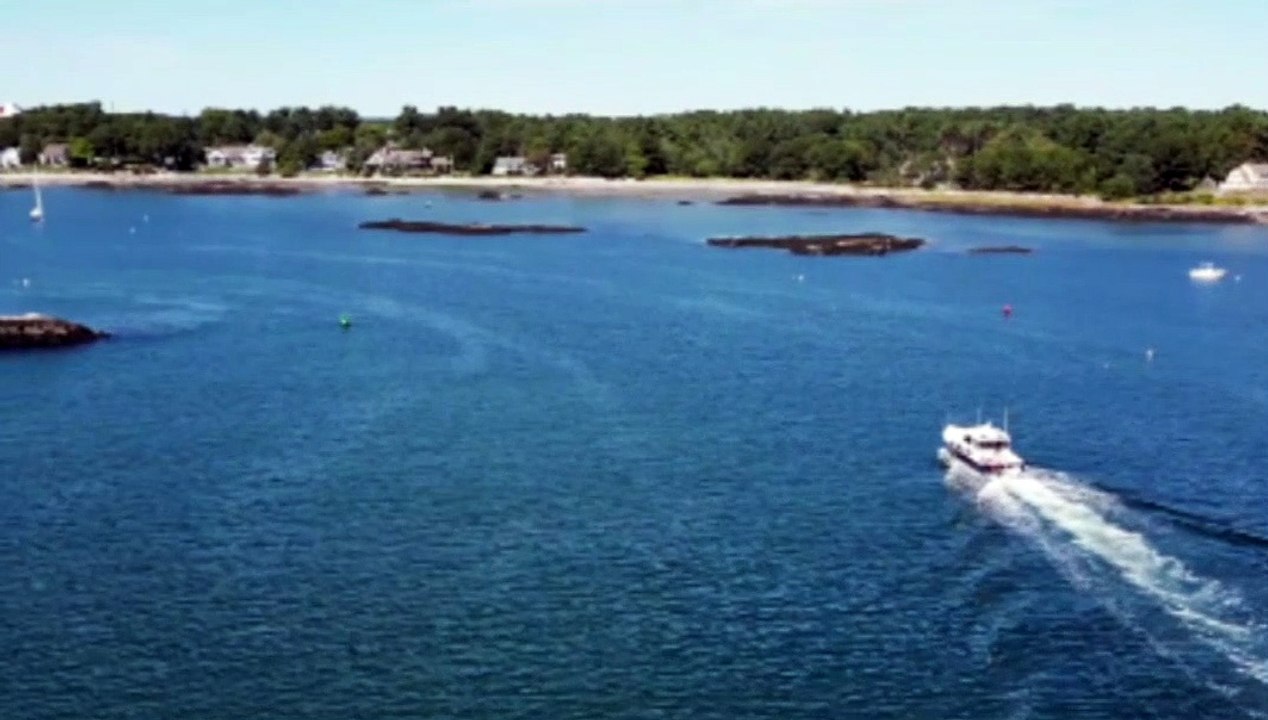 Harbor| boats | ocean