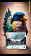 Kindle Top 5 Trucs et astuces niveau  Ver.4 #Kindle