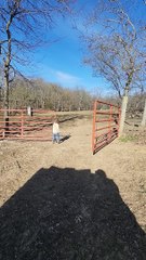 Double Swing Gates: Every Farm Kid's Worst Enemy