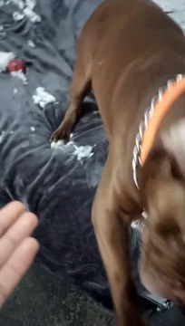 No me mires con esos ojitos