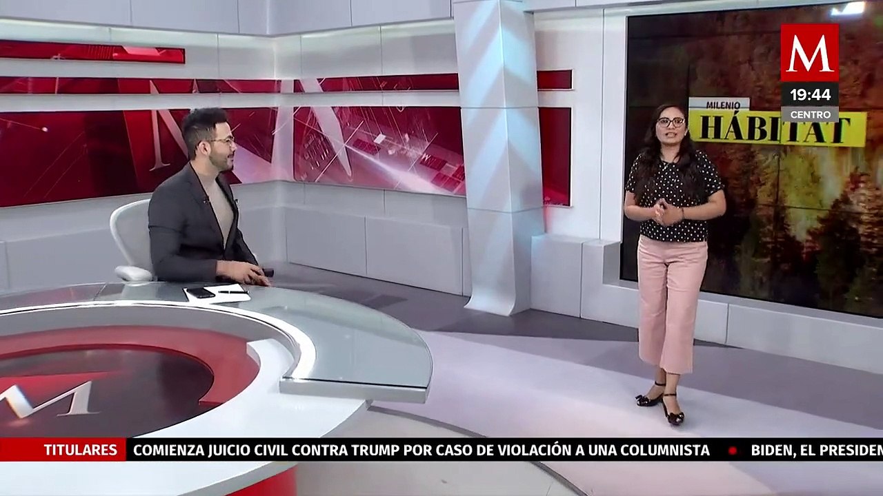 Parque Nacional Islas Marietas enfrentan una amenaza de pesca ilegal | Milenio Hábitat