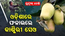 YouTube helps this farmer to cultivate apple and earn massive profit in Odisha’s Dharamgarh