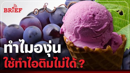 ทำไม 'องุ่น' ใช้ทำไอติมไม่ได้ | #beartaibrief