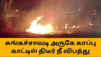 காப்பு காட்டில் திடீர் தீ விபத்து - போராடி அணைத்த வீரர்கள்!