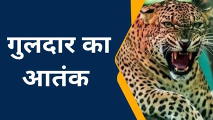 बिजनौर: 6 साल की बच्ची को खा गया गुलदार