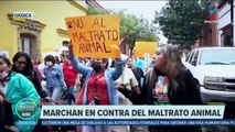 Marchan contra el maltrato animal en Oaxaca; exigen una ley de protección