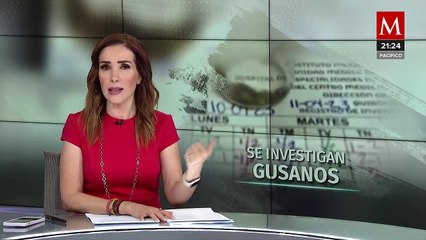 Captan gusanos cayendo del techo de quirófano en hospital del IMSS | VIDEO