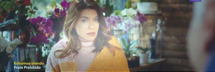 Fruto Prohibido Capitulo 605 - Fruto Prohibido Capitulo 605