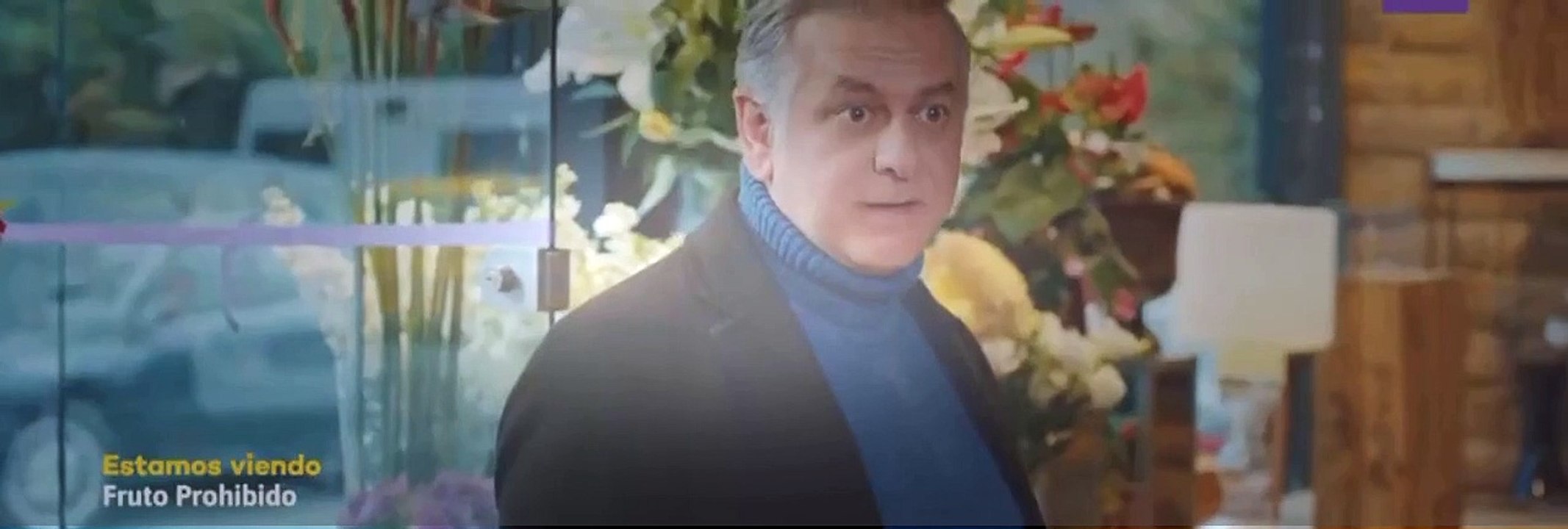 Fruto Prohibido Capitulo 606 - Fruto Prohibido Capitulo 606