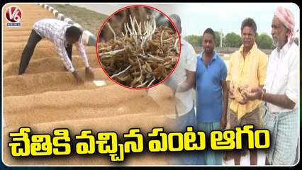 Massive Rains Hit Warangal, High Crop Loss _ Telangana Rains | V6 News