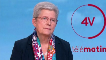 Les 4 vérités - Geneviève Darrieussecq