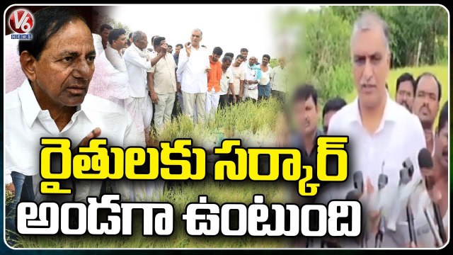 Minister Harish Rao Visit Crop Damage Farmers Due To Rains In Siddipet | V6 News