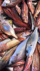 Travel Gems LIFE STYLE Sorrento Marina Grande