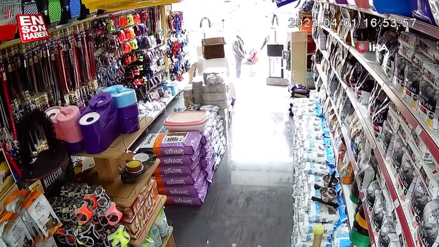 Eskişehir’de pitbull saldırısına uğrayan Terrier cinsi köpek