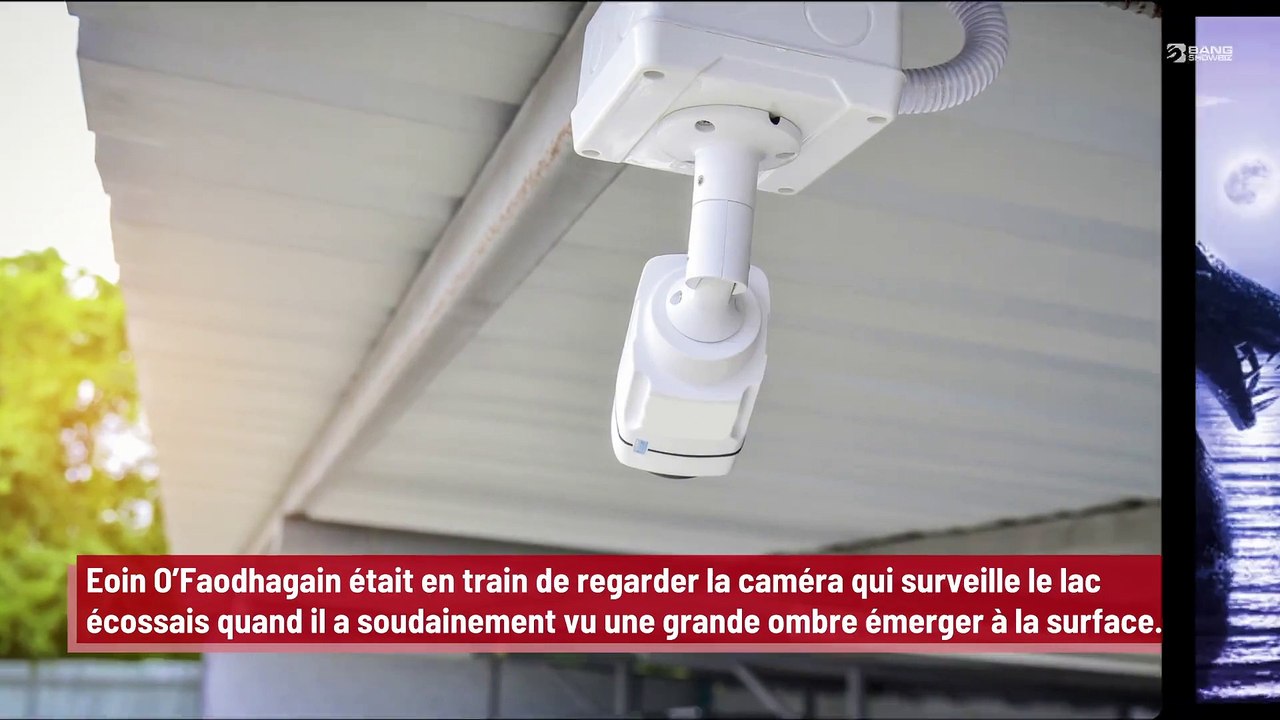 Le monstre du Loch Ness aperçu de nouveau en Écosse !