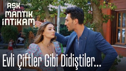 Evli çiftler gibi didiştiler - Aşk Mantık İntikam