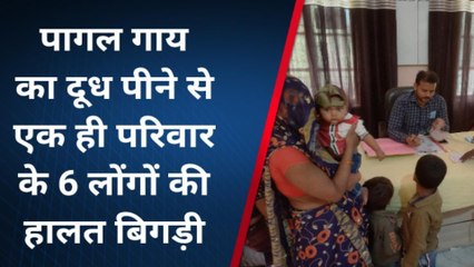 सभंल : पागल कुत्ते के काटने से पालतू गाय की हुई मौत, दूध पीने से परिवार की हालत बिगड़ी