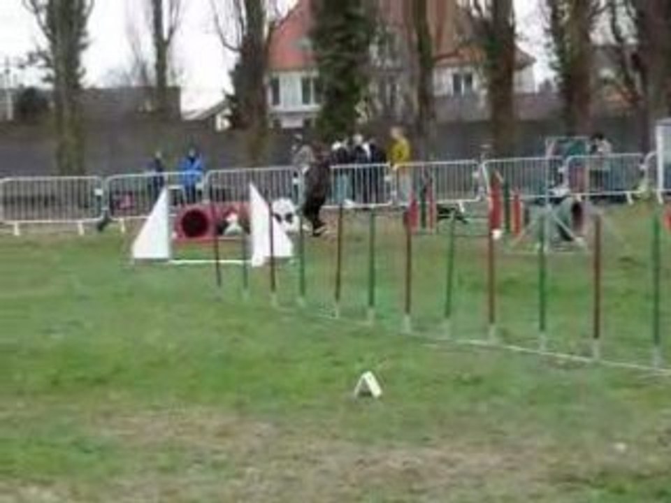 Jumping Indy