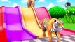 Paint and Animals Gorilla, Elephant, Duck, Lion, Tiger, Cat, Cow Fountain Crossing Wild Animals Game