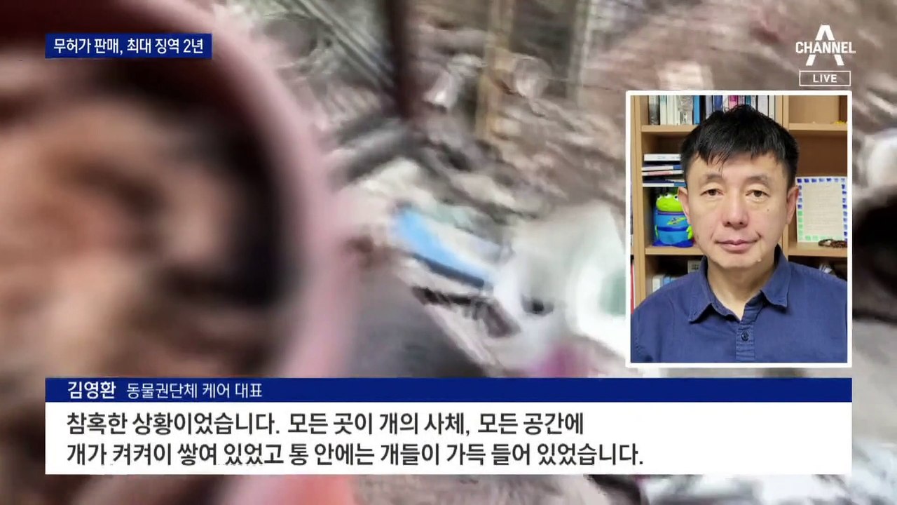 반려동물 무허가 판매, 최대 징역 2년…소유주 의무도 강화