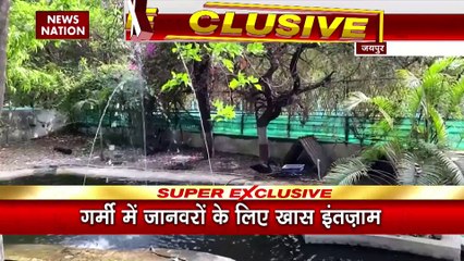 Garmi : चिड़ियाघरों में जानवरों के लिए स्पेशल डाइट का इंतजाम