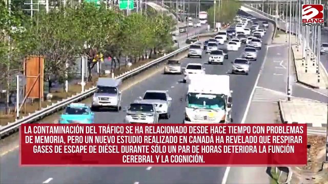 Permanecer tanto tiempo en el tráfico puede causar daños cerebrales
