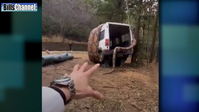 GIANT SNAKE ATTACKS VAN - real or fake- 10 Biggest Snakes Ever Discovered