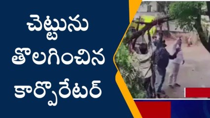 మేడ్చల్: భారీ వర్షం.. రోడ్డు పైన అడ్డంగా పడిపోయిన చెట్టు