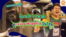 Pet พาเพลิน พาเที่ยว  สวนสัตว์พาต้าปิ่นเกล้า ตะลุยชมสัตว์และกอริลลาตัวสุดท้ายในไทย