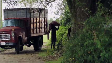Jeepers Creepers El renacer Tráiler