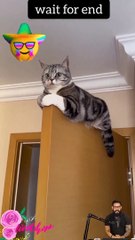 #today #papular #viral #video #funny #001 #youtubeshorts #ytshorts #shorts #shortvideo #tranding 26 (2)