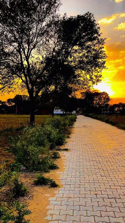 #nature #naturephotography #naturelovers #beautiful