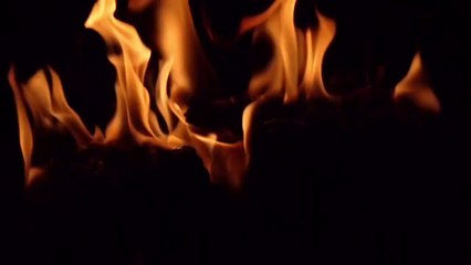 FIRE ENGINEERING full information in VIDEO BEST CARRIER OPTION