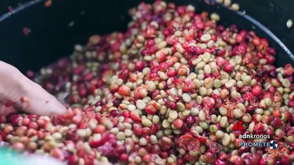 Prometeo Tv n.17 del 26 aprile 2023