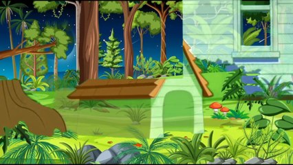 New tom and Jerry Springer