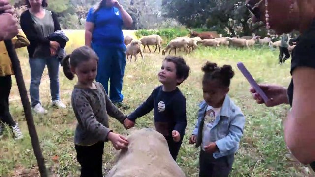 Martigues : les ateliers de la ferme pédagogique pour les vacances