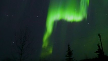 Aurora chaser witnesses a breathtaking combo of Starlink & Northern Lights over the Alaskan tundra!