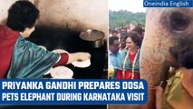 Karnataka Elections 2023: Priyanka Gandhi Vadra makes dosa and fed elephant | Oneindia News