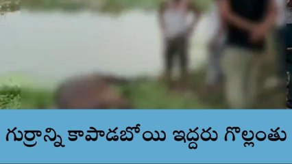 రంగారెడ్డి: గుర్రాన్ని కాపాడబోయి ఇద్దరు యువకులు గల్లంతు