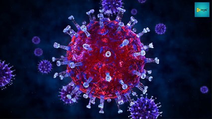 30 Days of Cold Showers: Transform Your Physical and Mental Health!