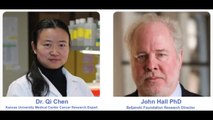 Interview entre le Dr Chen, Dr Hall et Sylvie Beljanski sur les recherches de la Fondation Beljanski