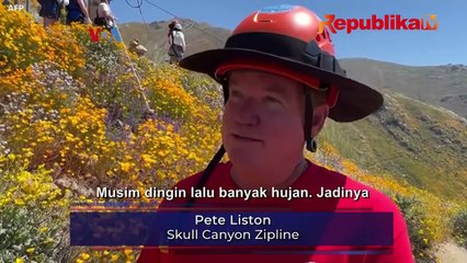 Fenomena Superbloom dan Efek Media Sosial