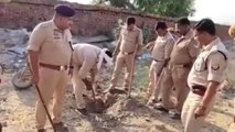 देवरिया:निकाय चुनाव को लेकर पुलिस ने चलाया अवैध शराब के खिलाफ छापेमारी अभियान