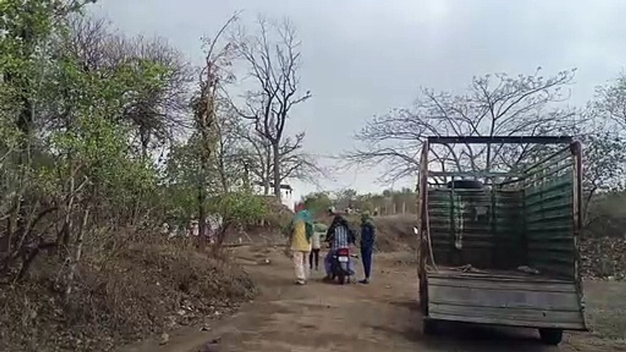 Bees attack on youths who went for picnic