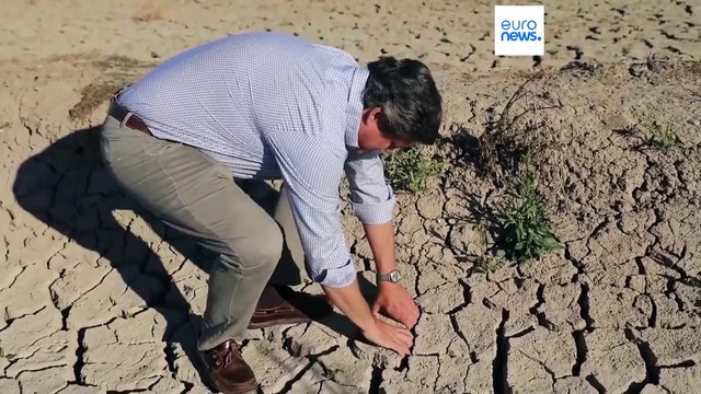 37° im April - So schlimm sind Hitze und Dürre in Spanien und Italien: Bleiben Ferien-Gäste aus?