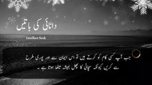 Words of wisdom in Hindi _ Danai Ki Batein Part 01 _ دانائی کی باتیں _ Spiritual Quotes in Urdu